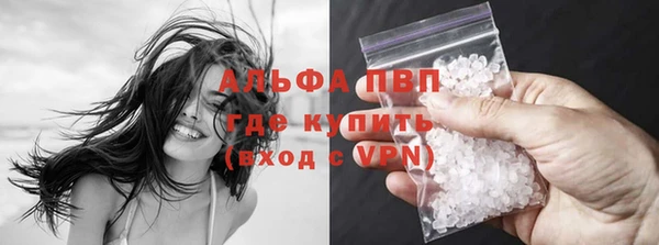 гидра Белокуриха