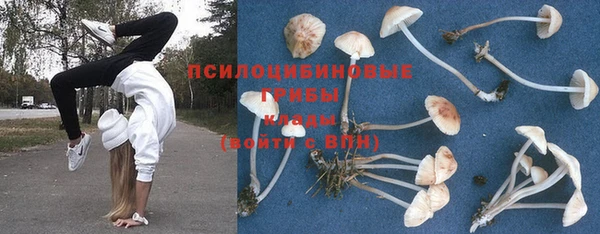 мдпв Кодинск