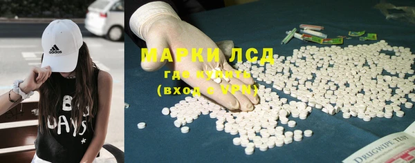 гидра Белокуриха