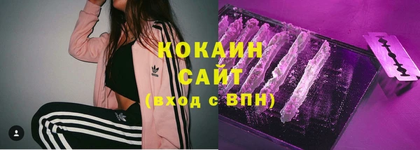 трава Беломорск