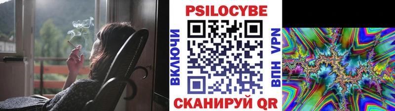 Псилоцибиновые грибы Psilocybe  где купить наркоту  Богородск 
